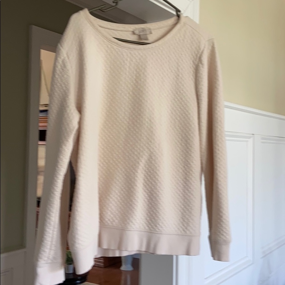 Sweatshirt